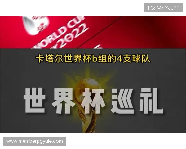 世界杯比利时对阵伊朗门票购买指南及最新购票信息全攻略